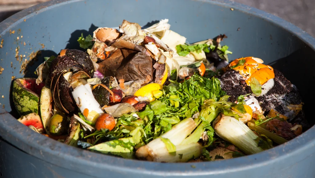 Food Waste in the Kitchen