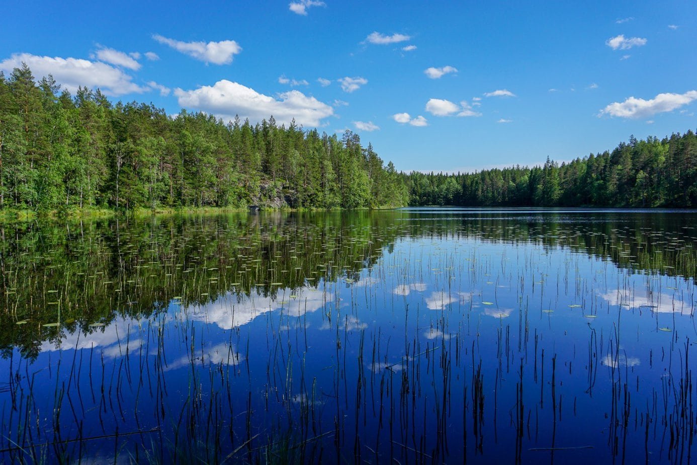 Nuuksio National Park: Your AZ guide