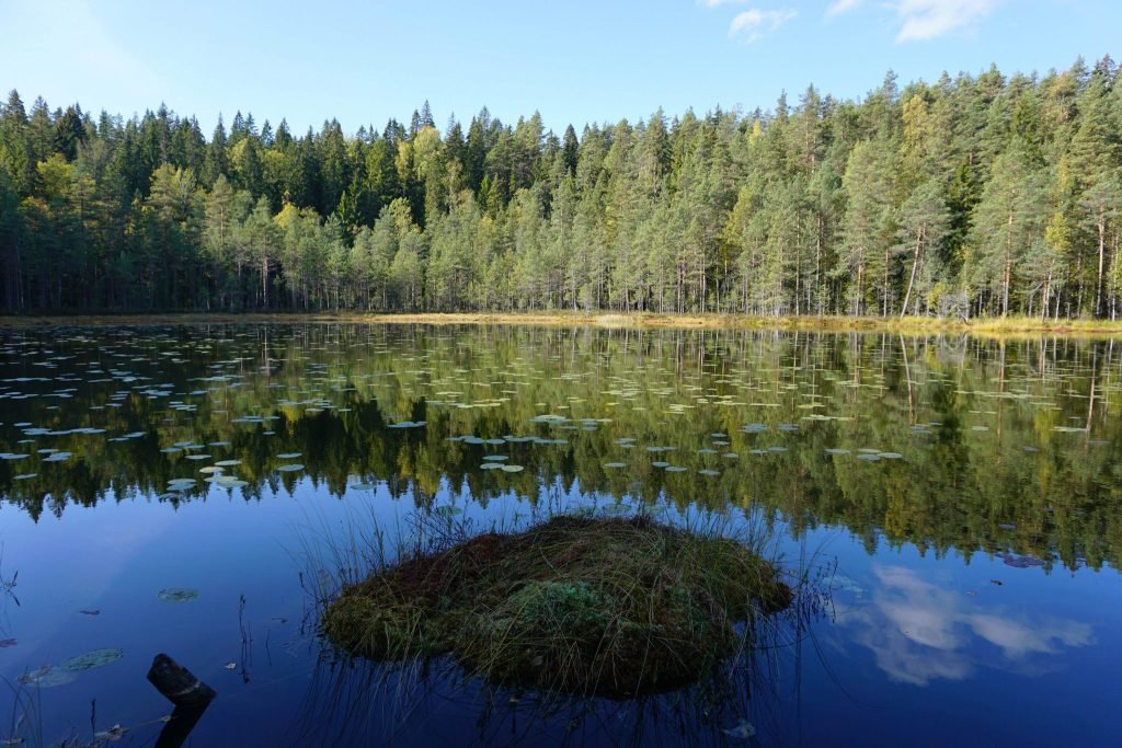 explore Nuuksio National Park