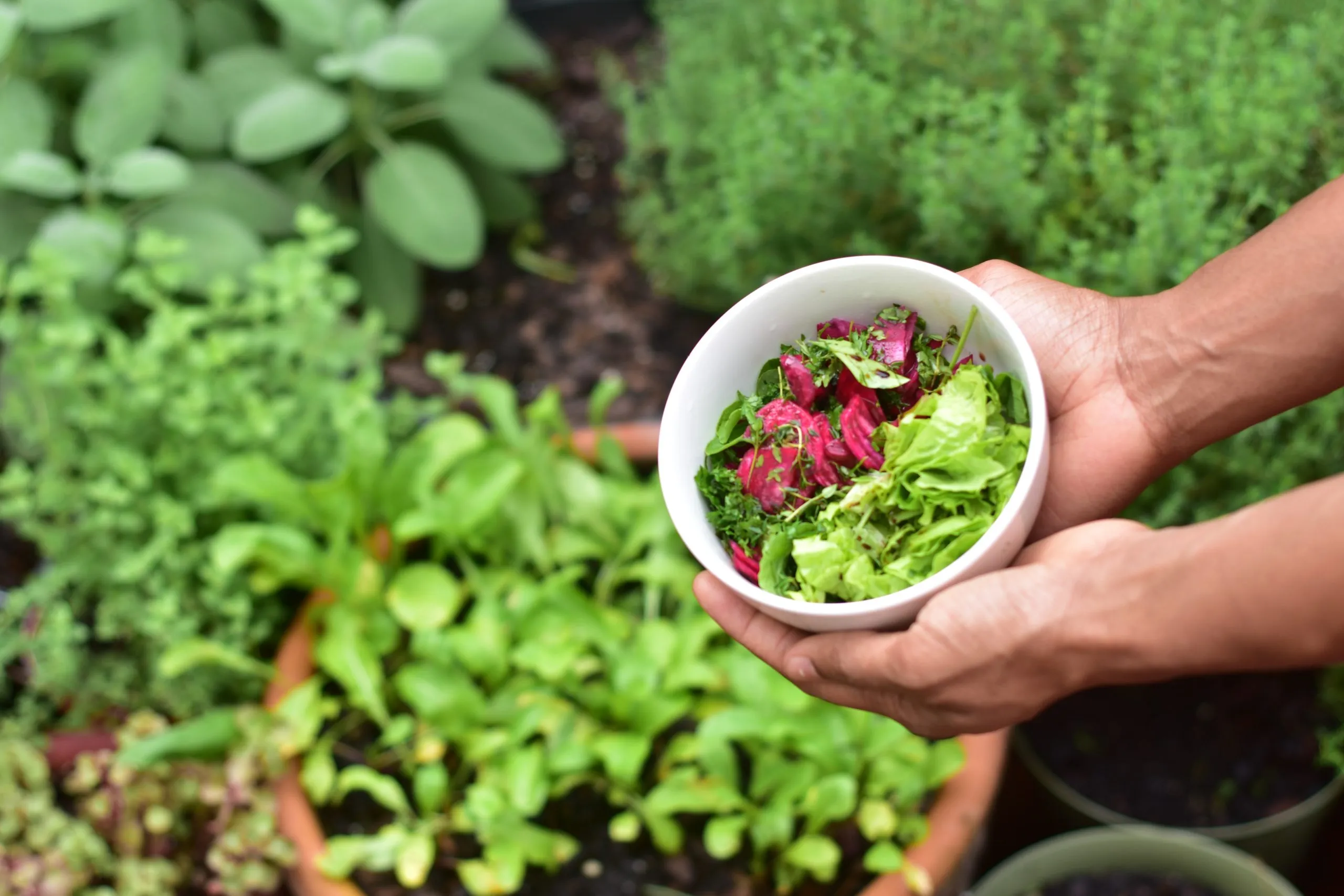 Eco Living: Steps to a Sustainable Lifestyle