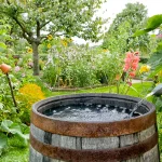 Rainwater harvesting